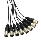 Multikabel mit Stage Box 8/0 10 m
