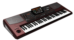 Korg PA-1000 Keyboards (Bordeux)