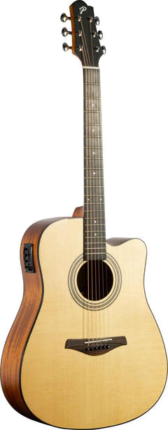 Pearl River L21-DCEQ Elektroakustische Westerngitarre
