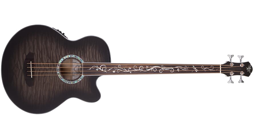 Michael Kelly Dragonfly 4 Fretless-Akustikbass, Smokeburst
