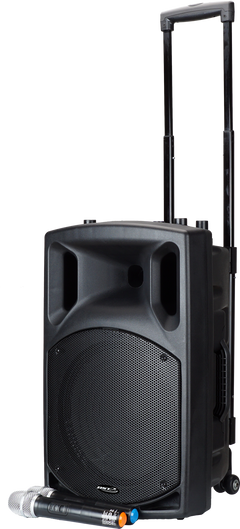 BST Nomad12 - Festival Lautsprecher (400W)