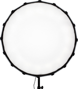 NanLite Dish Softbox for Forza 60