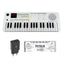 Grooveland E237 Keyboards (Off White) (Copy)