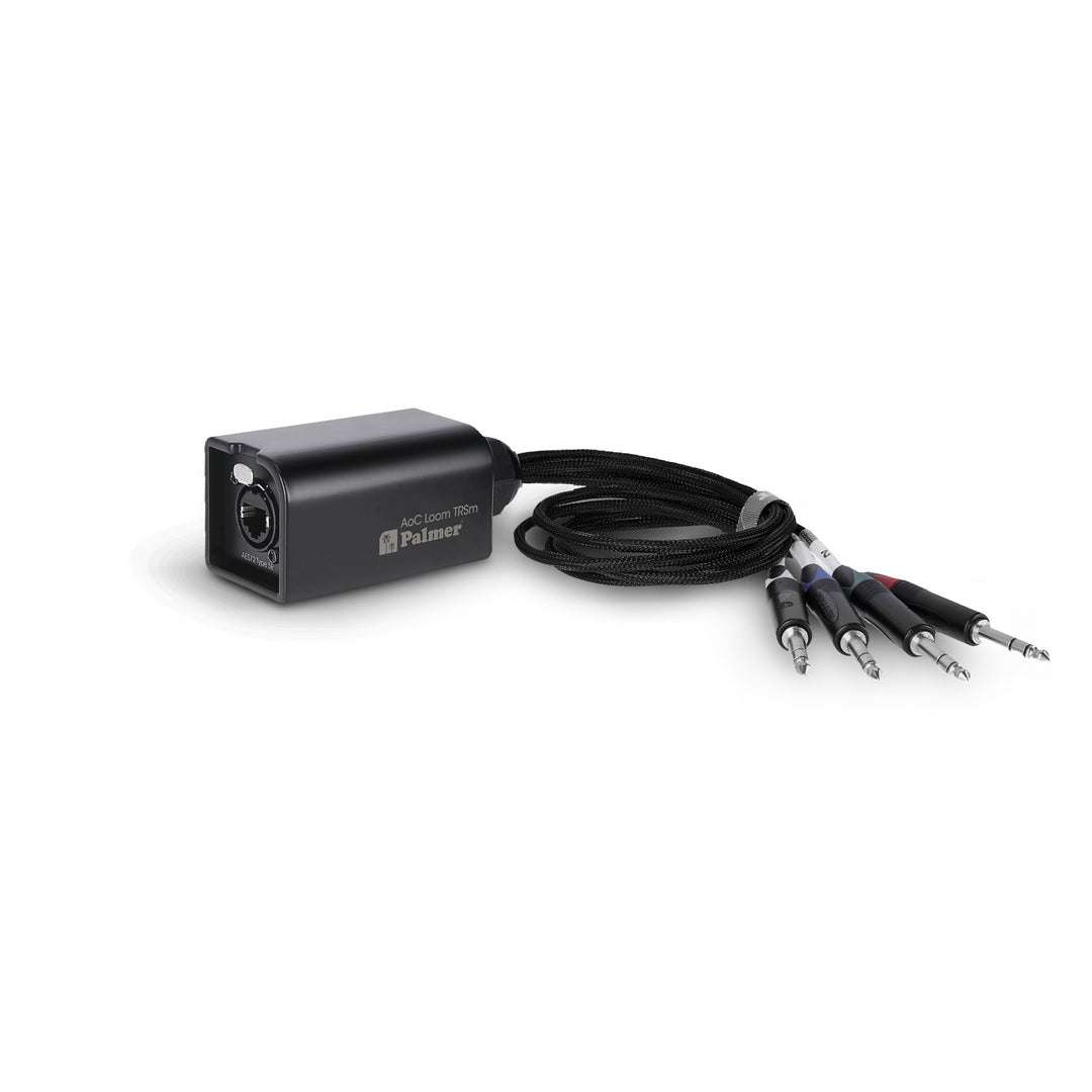 Palmer AoC Loom TRSm - Audiokabelsatz über Cat von etherCON zu 4 x 6,3 mm TRS-Klinke