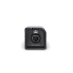 Palmer AoC Loom TRSm - Audiokabelsatz über Cat von etherCON zu 4 x 6,3 mm TRS-Klinke