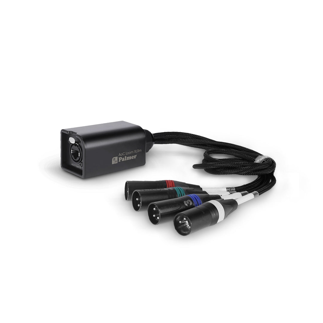 Palmer AoC Loom XLRm - Audio über Cat-Kabel von etherCON zu 4 x XLR männlich