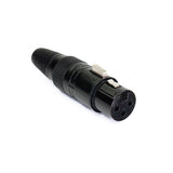 Perfex XLR Buchse