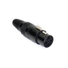 Perfex XLR Buchse
