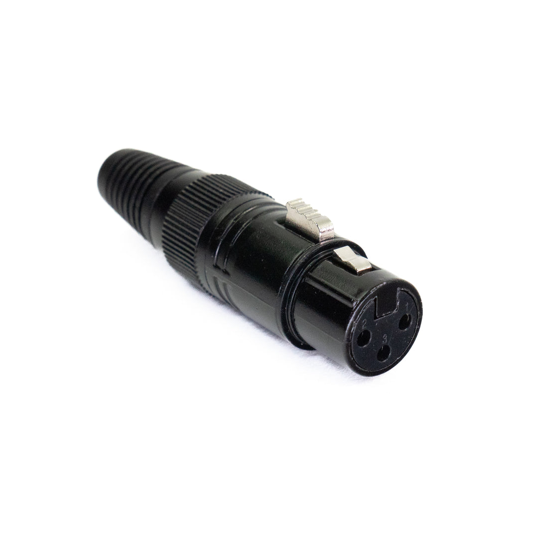 Perfex XLR Buchse