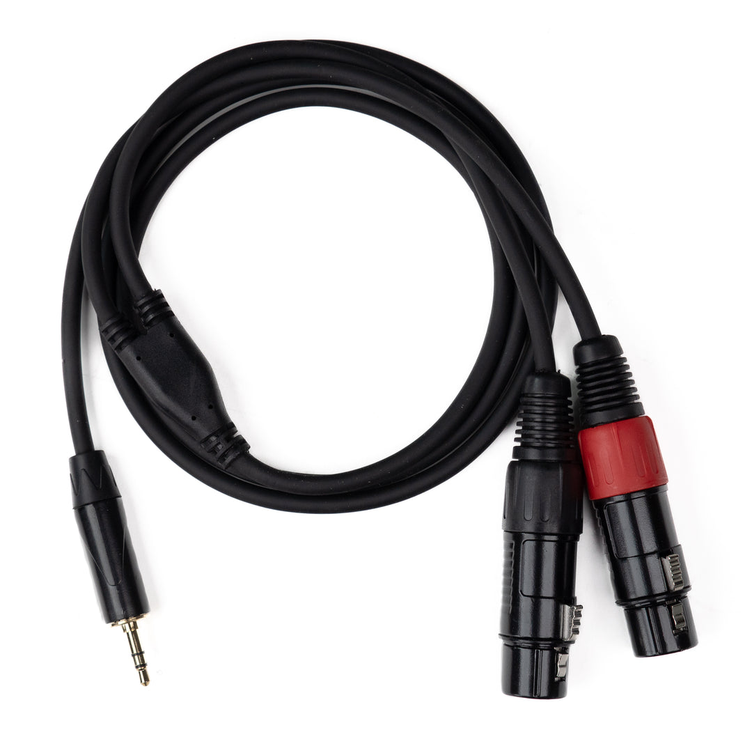 MINIJACK 3,5-mm-TRS-Stecker auf 2x XLR-Buchse (1,3 m)