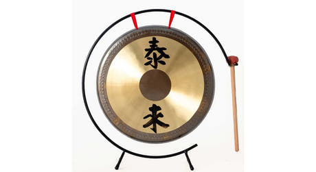 Dixon PGN-10 Gong 10" mit Stativ