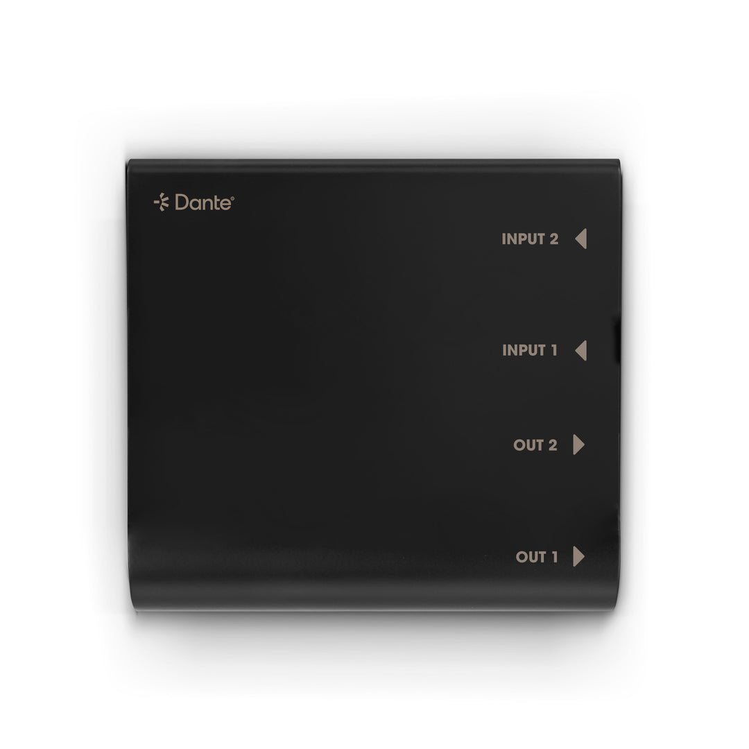 Palmer RIVER lahn - 2x2 Dante®-Interface