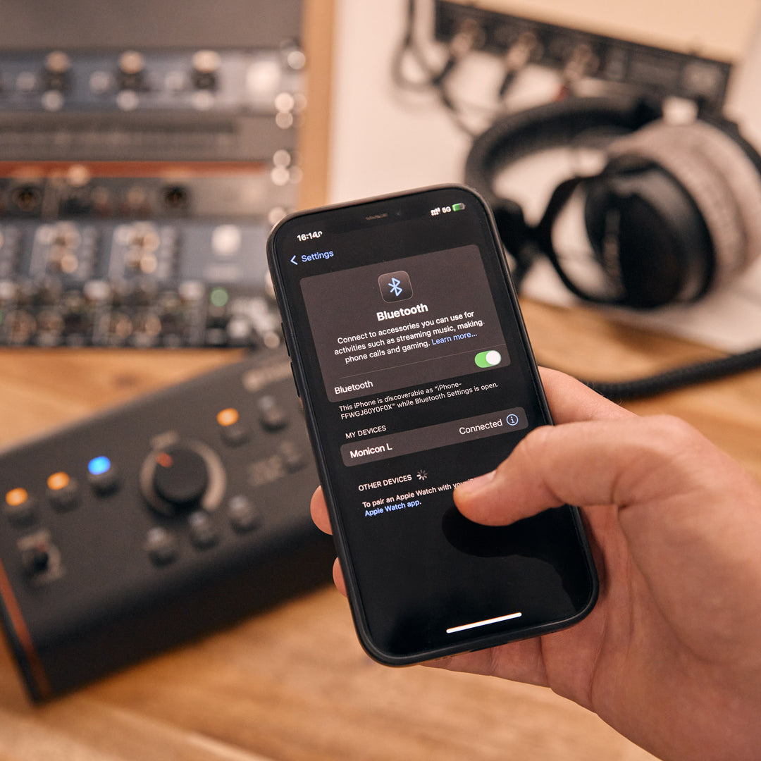 Palmer MONICON L G2 G - Aktiv / Passiv Studio-Monitor-Controller