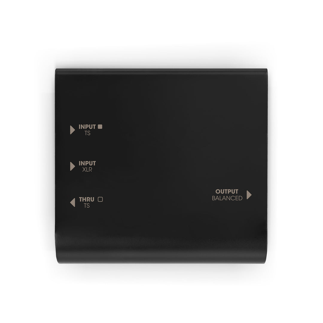 Palmer RIVER-model – aktive DI-Box