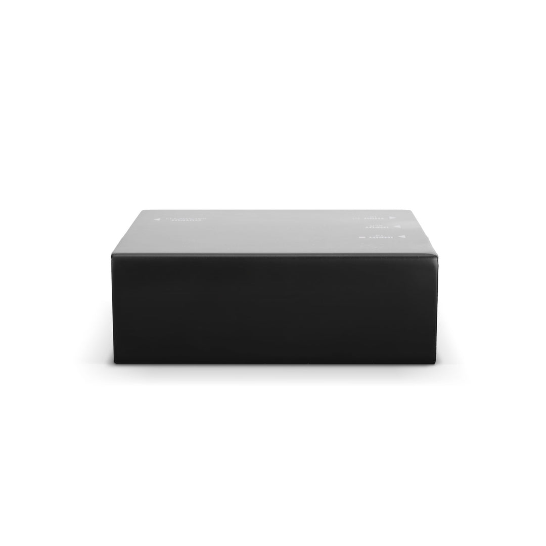 Palmer RIVER-model – aktive DI-Box