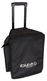 Ibiza Sound Portable 15" Speakersystem with UHF Microphones