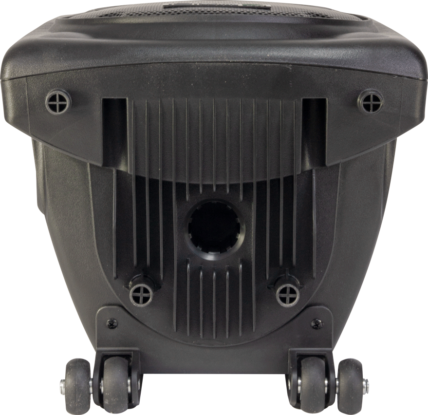 Ibiza 10" portable speaker, black with USB, Bluetooth & mics