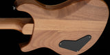 PRS SE "Paul's Guitar" Electric Guitar (Turquoise)