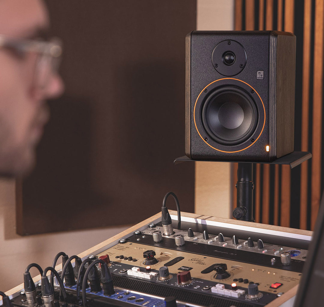 Palmer STUDIMON 5 - Studiomonitor