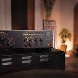 Palmer SUPREME SOAKER - Analoger dynamischer Röhrenverstärker-Hub