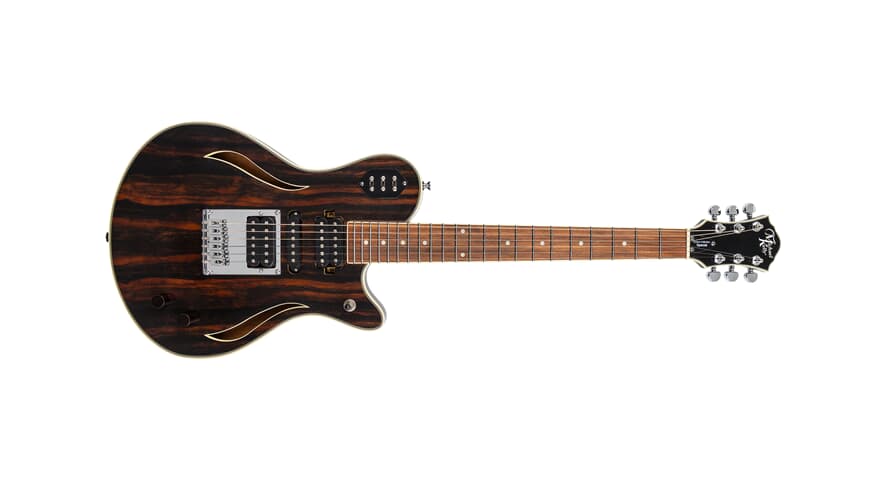 Michael Kelly custom Collection special e-gitarre, Striped Ebony