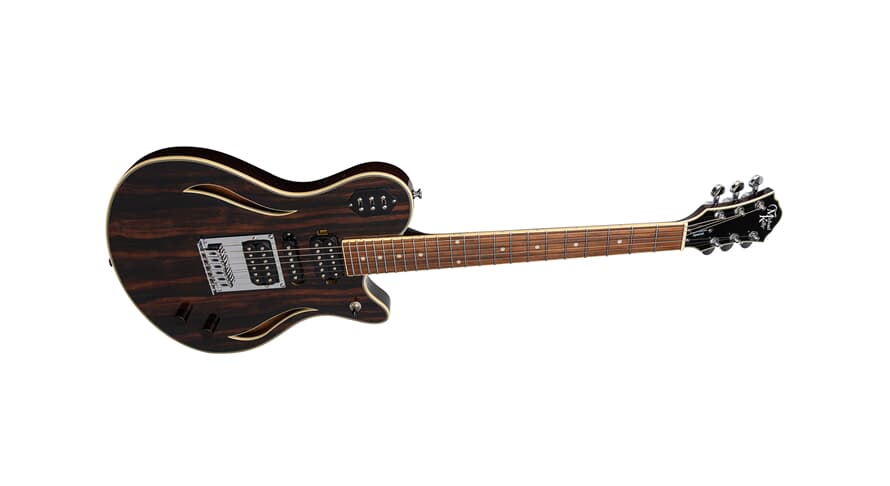 Michael Kelly custom Collection special e-gitarre, Striped Ebony