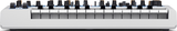 Novation Bass Station II SWIFTY