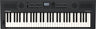 Roland GO:KEYS 5 Keyboard (Graphit)
