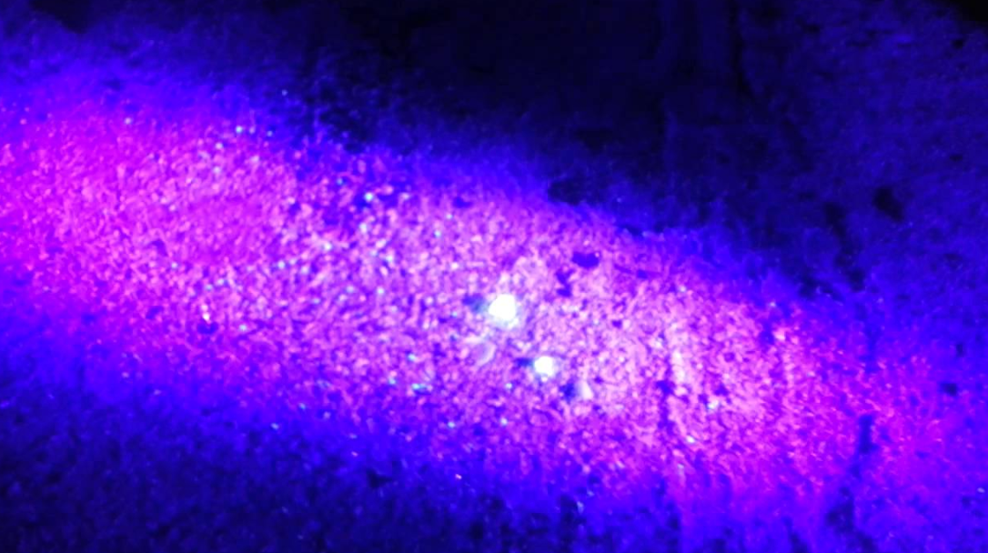 Amber Flashlight 365nm LED
