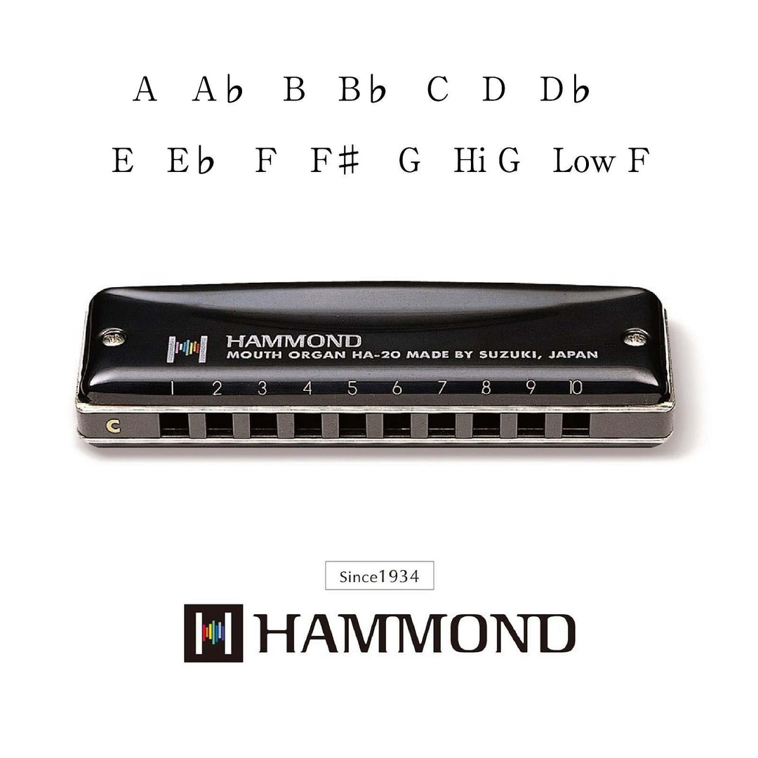 Hammond HA-20 Harmonikas (G)