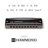 Hammond HA-20 Harmonikas (C)