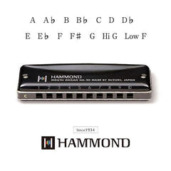 Suzuki Hammond HA-20 Harmonikas (F#)