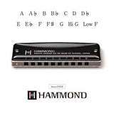 Suzuki Hammond HA-20 Harmonikas (F#)