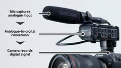 Tascam CA-XLR2D Mikrofonadapter für Kamera, Canon