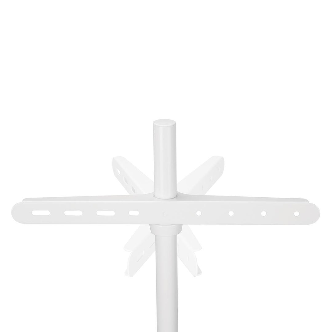 TV Bodenständer (Weiß, Buche, 50-65")
