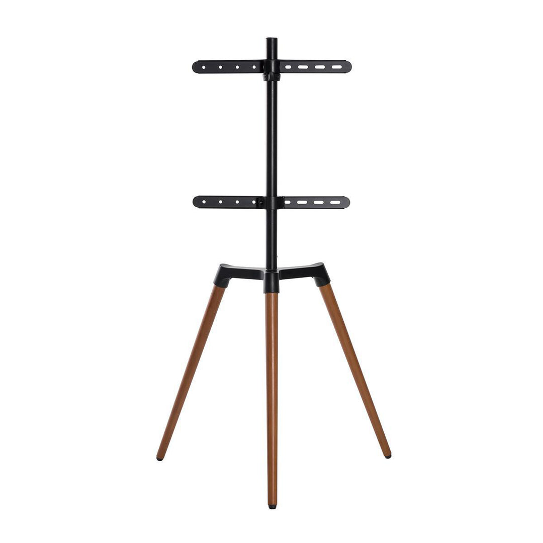 TV Bodenständer (Schwarz, Buche 50-65")