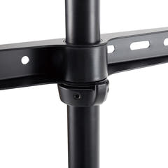 TV Bodenständer (Schwarz, Buche 50-65")