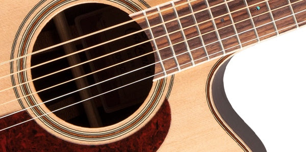 Takamine Gd93ce-Nat Western Gitarre (Natur)
