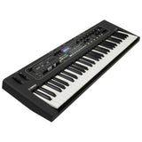 Yamaha CK61 E-Klavier