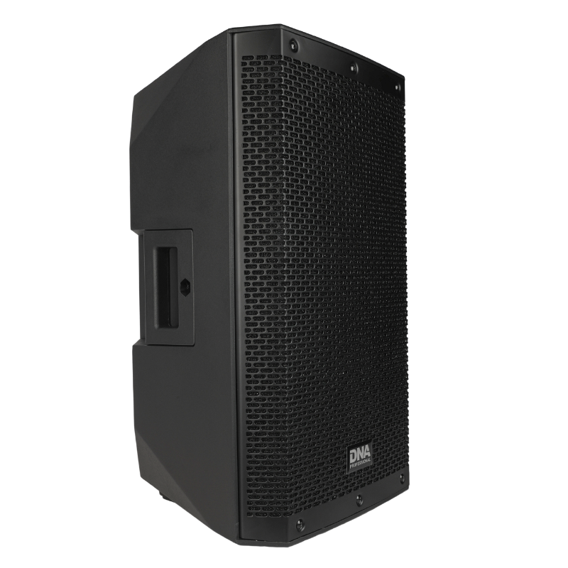 DNA SPX10 DSP aktives Lautsprechergehäuse 10" 250W