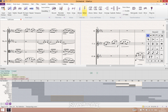Sibelius Ultimate Dauerlizenz