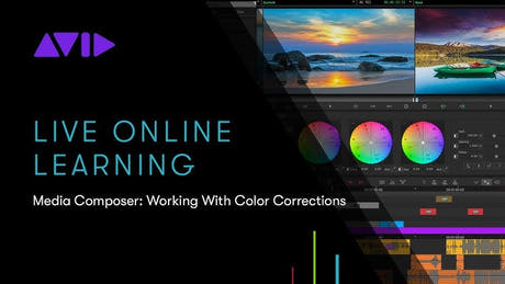 Media Composer Ultimate Abonnement NEU