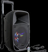 Ibiza Party8LED Festival Lautsprecher (300W)