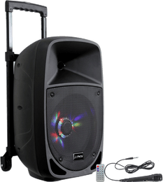 Ibiza Party8LED Festival Lautsprecher (300W)