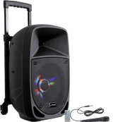 Ibiza Party8LED Festival Lautsprecher (300W)