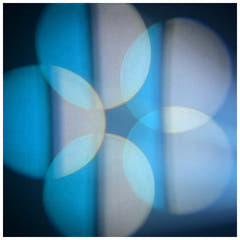 Light4Me Focus 100 Spot-Prisma