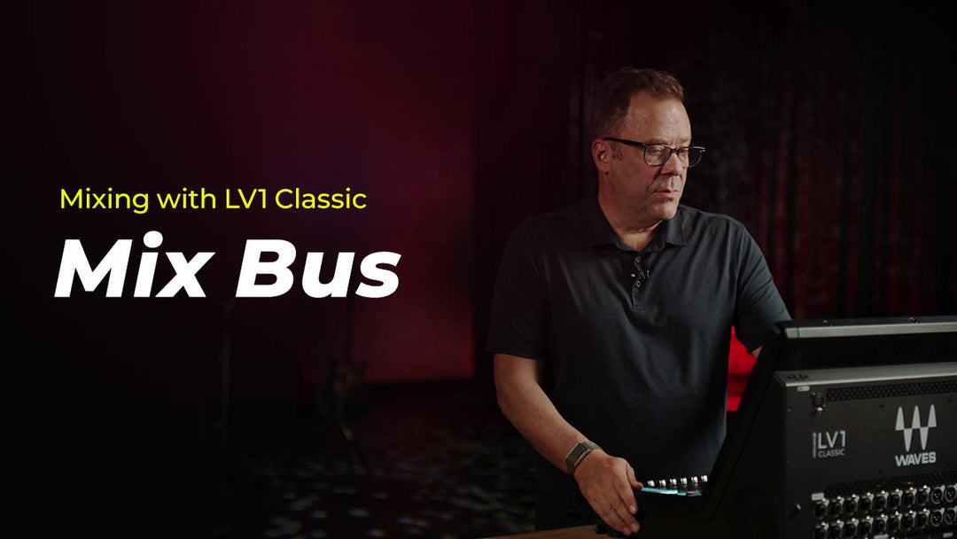 LM1V