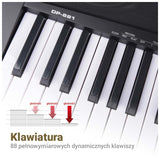 MK DP 881 Digitalpiano Lern-Tasten