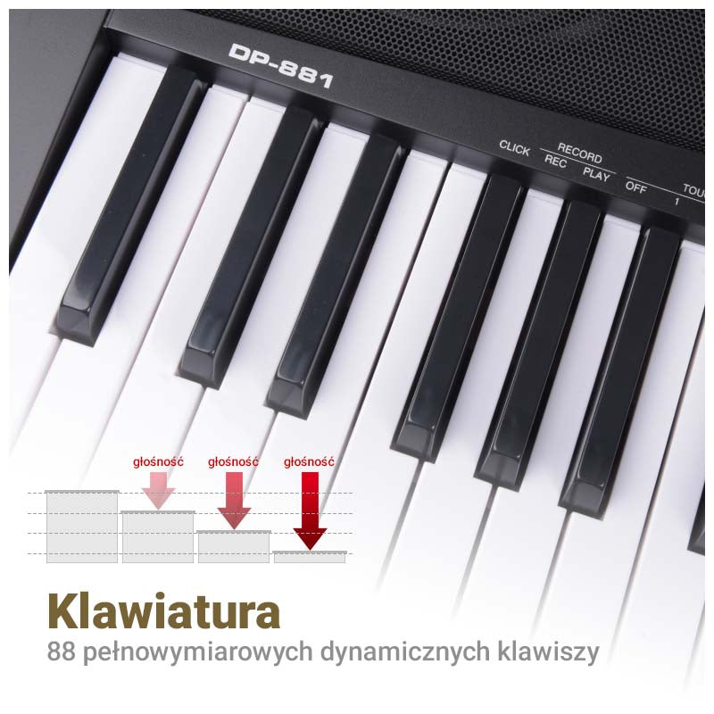 MK WP 881 Digitalpiano Lern-Tasten