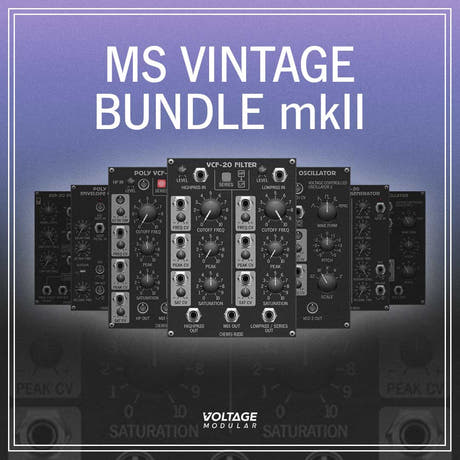 MS Vintage Bundle für VM